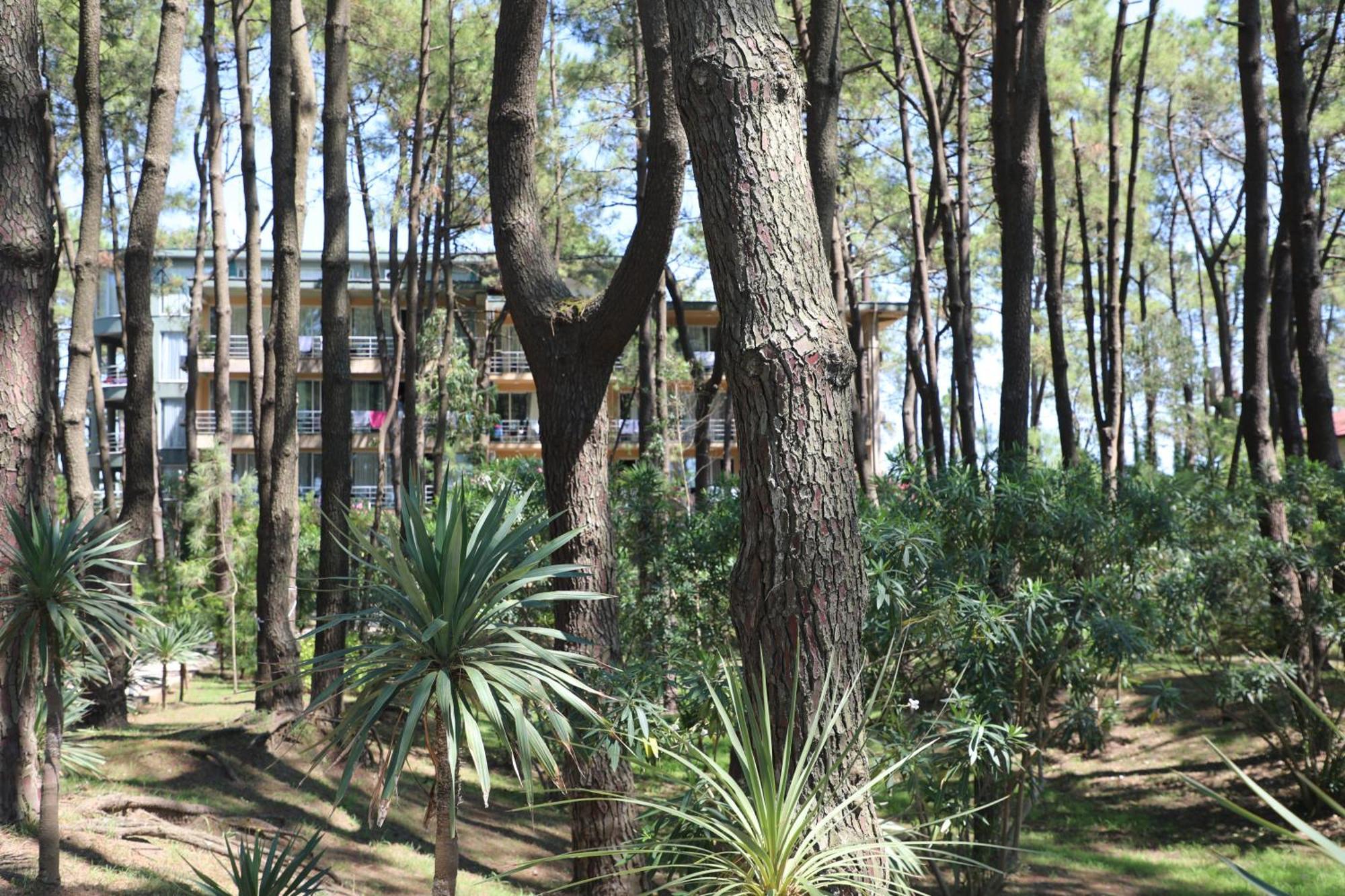 Andamati Beach Resort Grigoleti Exterior foto